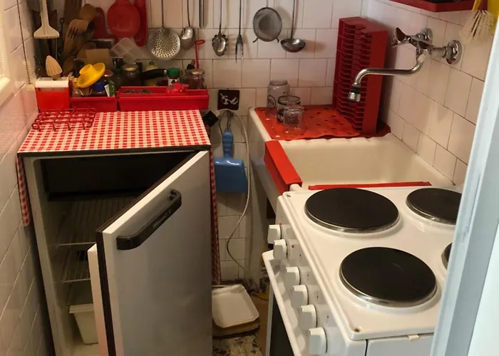 דירה Small Flat 50 M From The Slopes ברויל-קרוויניה