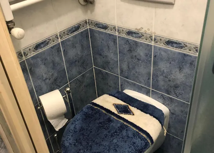 Small Flat 50 M From The Slopes